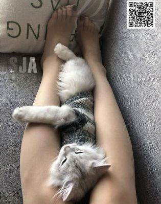嗯，啊，不要啊，用力h_蓝光免费观看